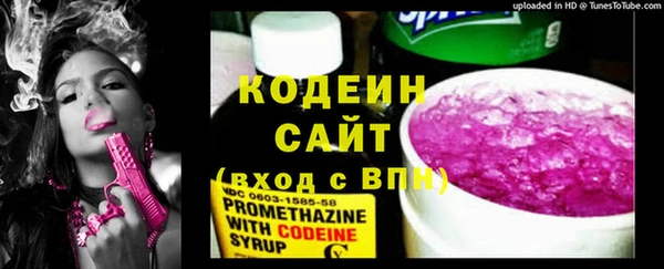 бошки Ельня