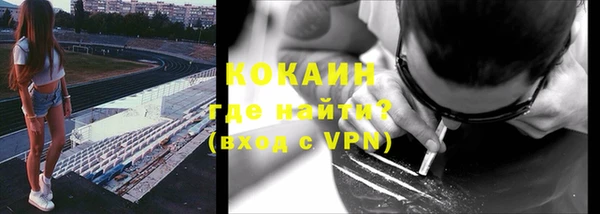 бошки Ельня
