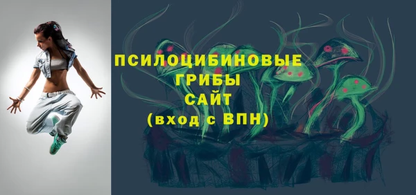 дмт Елабуга