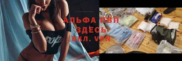 дмт Елабуга
