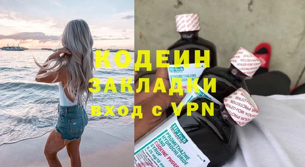 бошки Ельня