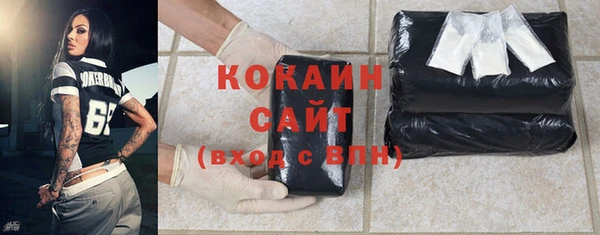 бошки Ельня